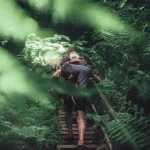 Bush walking on a Daydream Island day tour