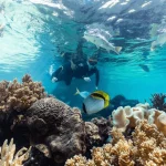 Snorkelling on a Whitsundays island day trip
